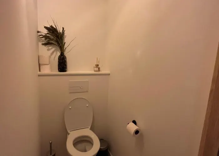 Le Virage フランコルシャン